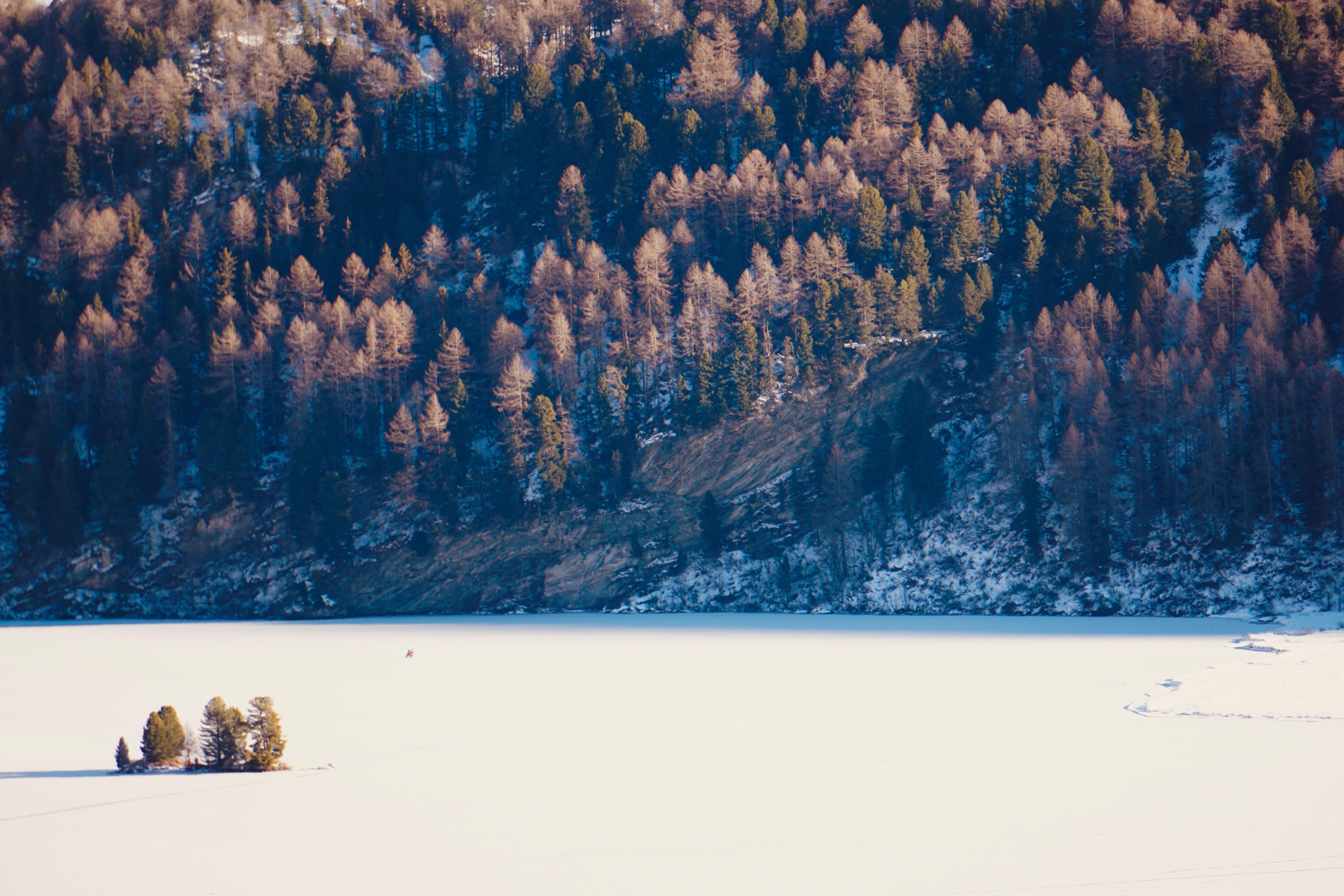 Sils im Engadin snow landscape