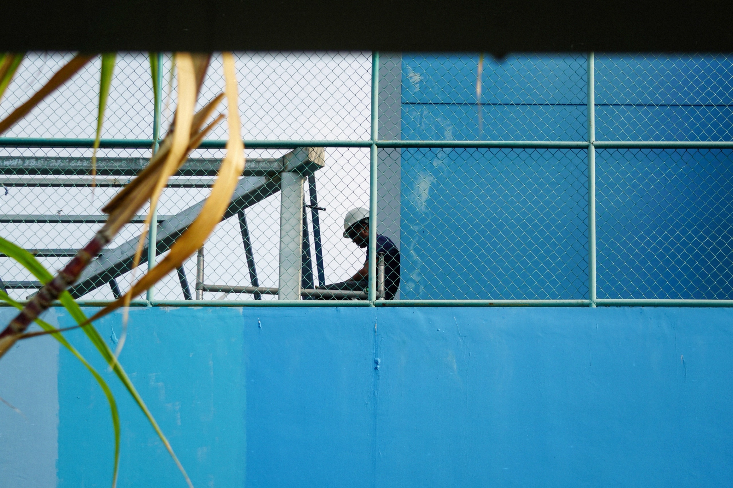 Construction worker in a white hard hat seen through chain-link fencing above a bright blue wall, framed by palm leaves, in Singapore - Film photography by Rocco Goldschmidt