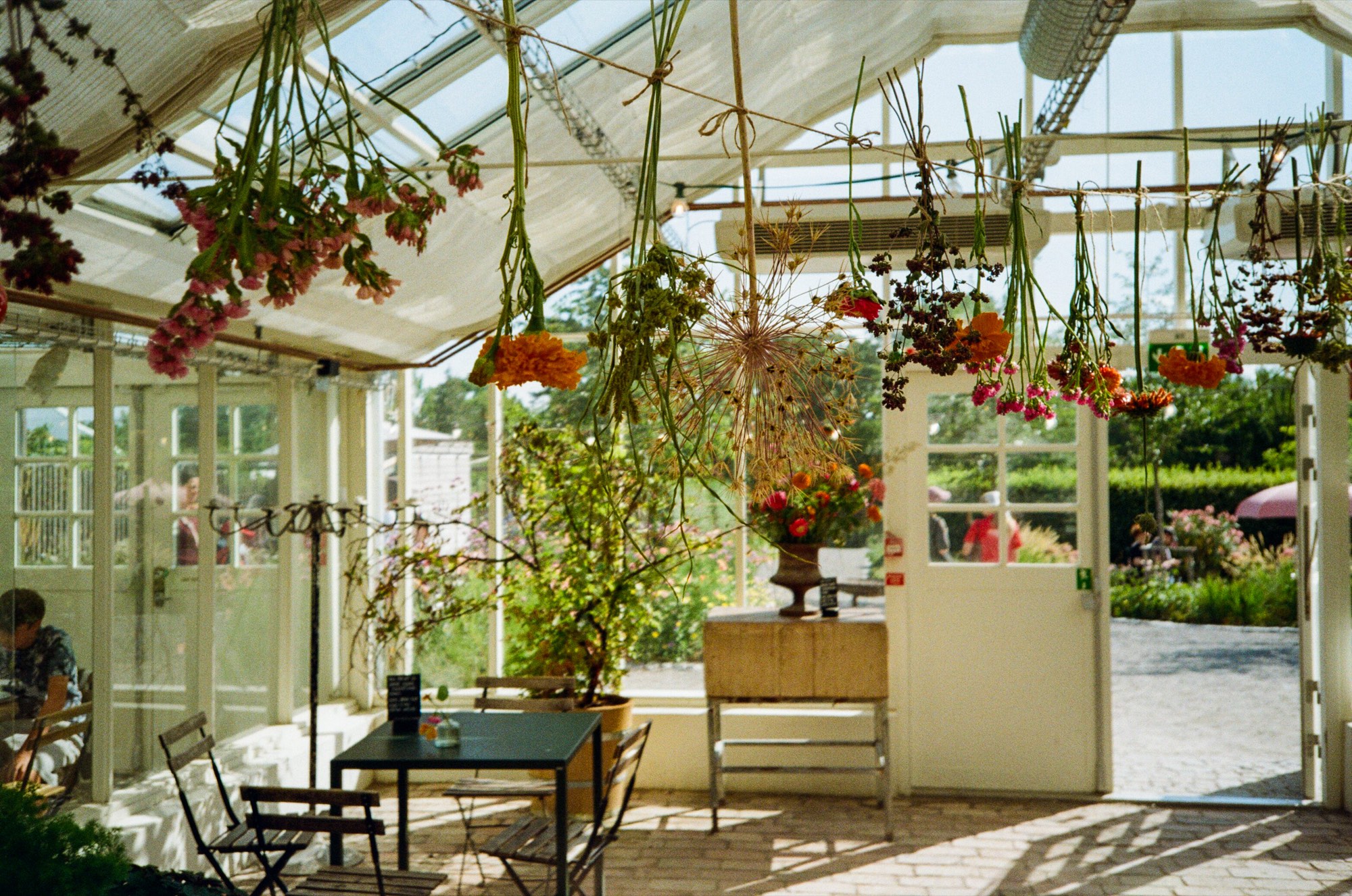 Flowers drying from the rafters of a sunlit garden greenhouse cafe in Stockholm, Sweden - Interior photography by Rocco Goldschmidt