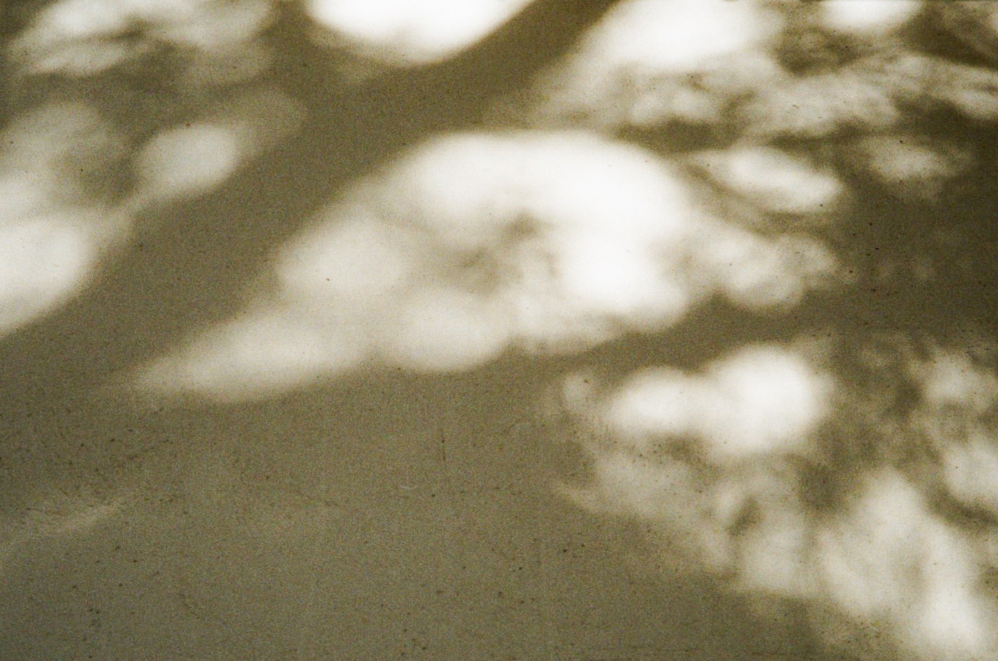 Soft shadows of branches and leaves cast across a pale concrete wall in Stockholm, Sweden - Abstract photography by Rocco Goldschmidt