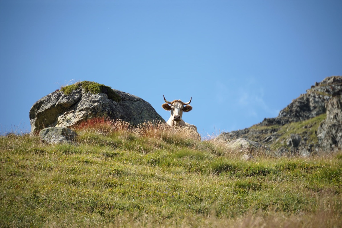 Alpine pastoral photography in Engadin, Switzerland - Mountain farming by Rocco Goldschmidt